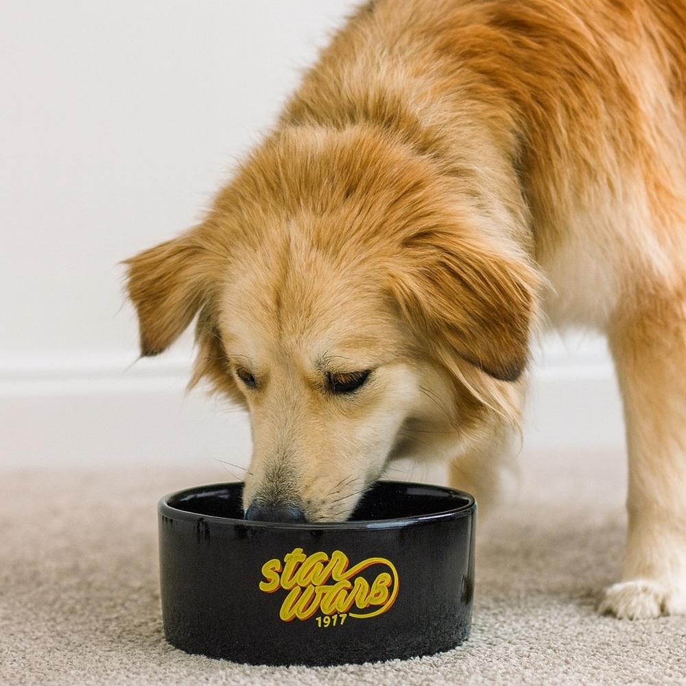 Fetch for Pets Star Wars 1977 Logo Dog Bowl, 3.5 Cups